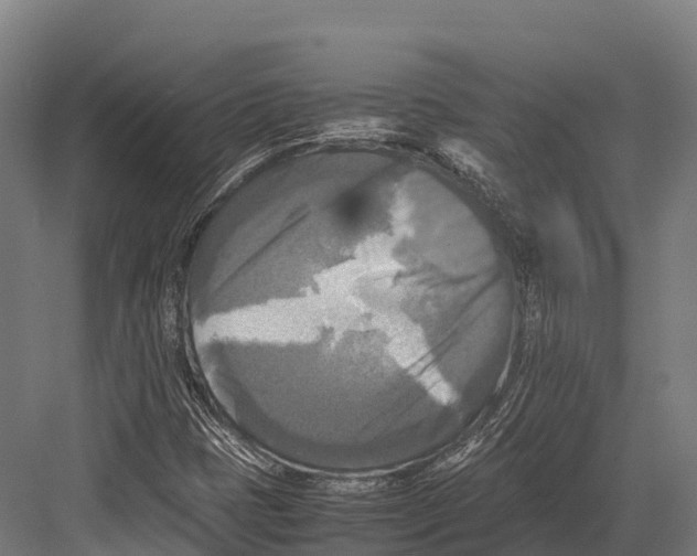 X0000081591401200702121501