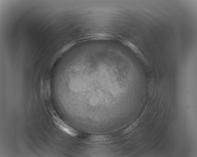 X0000081591402200702121501