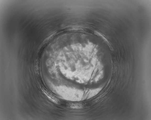 X0000081591403200702121501