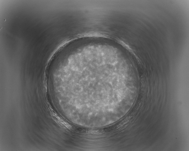 X0000081591408200702121501