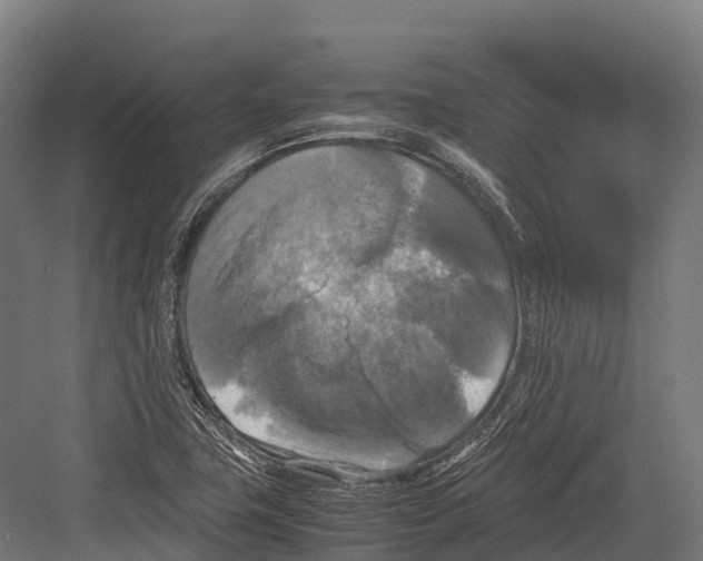 X0000081591411200702121502