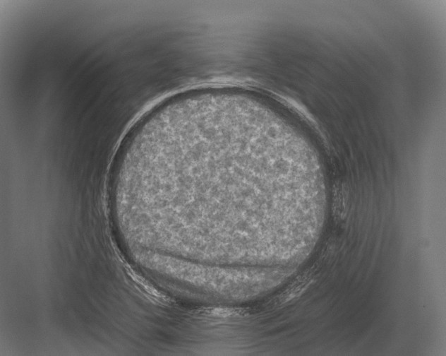 X0000081591412200702121502