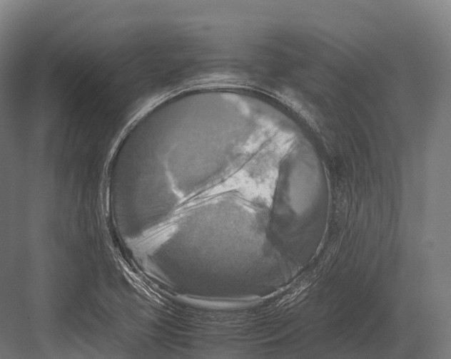 X0000081591413200702121502