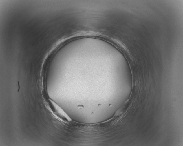 X0000081591414200702121502