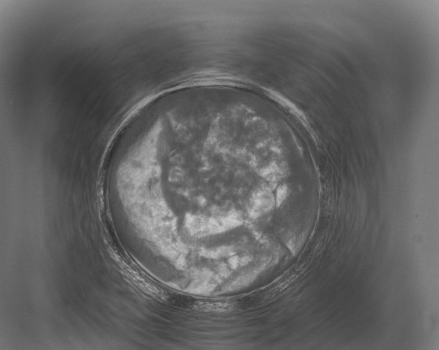 X0000081591415200702121502