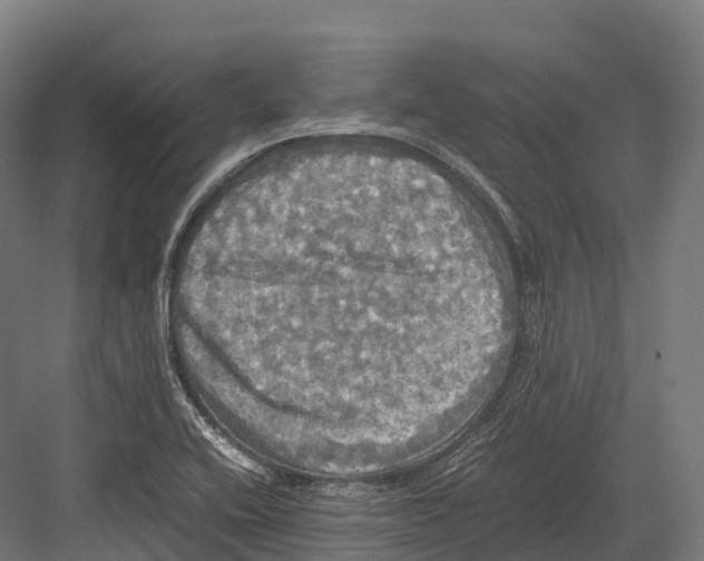 X0000081591416200702121502