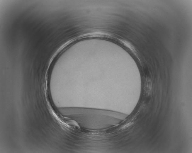 X0000081591418200702121502