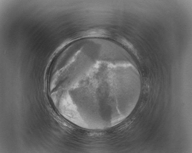 X0000081591419200702121502