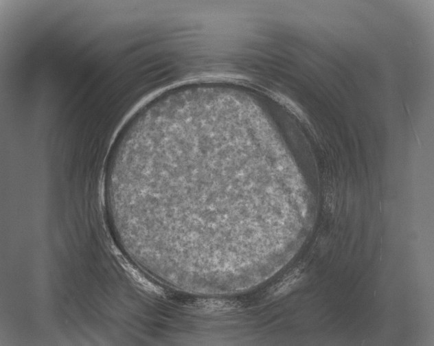 X0000081591420200702121502