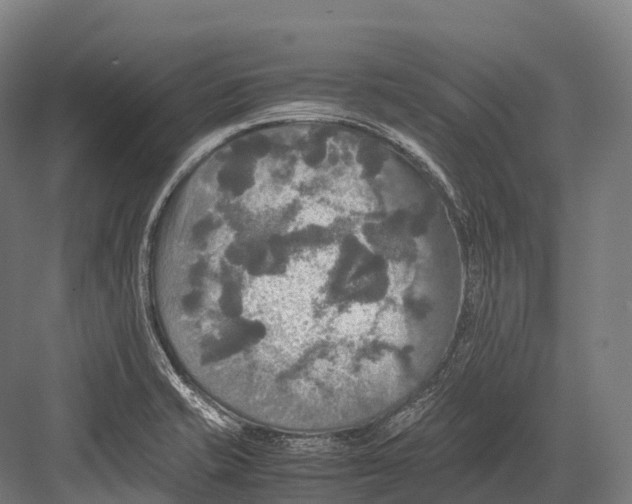 X0000081591421200702121502