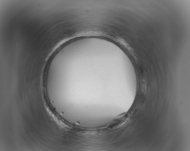 X0000081591422200702121502