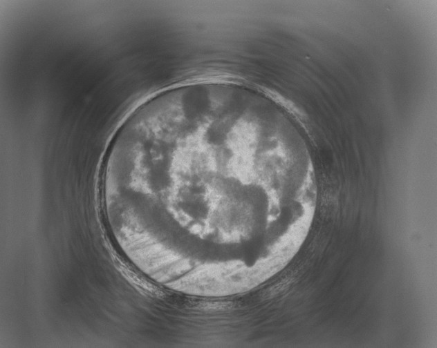 X0000081591423200702121502