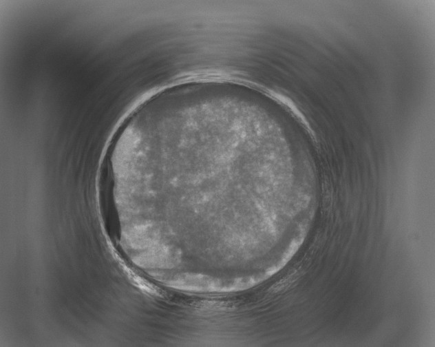 X0000081591424200702121502