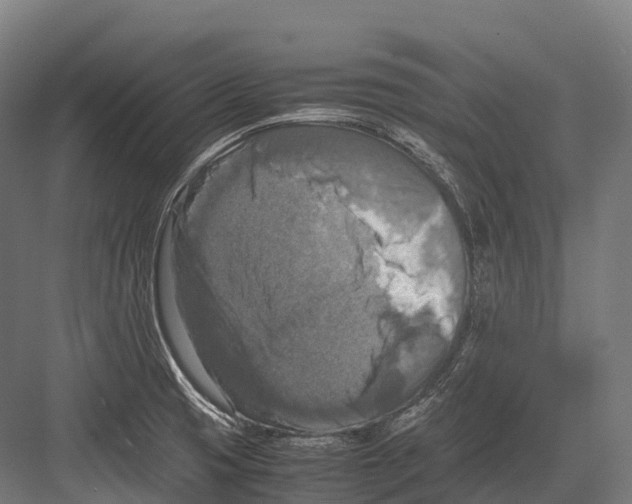 X0000081591425200702121502