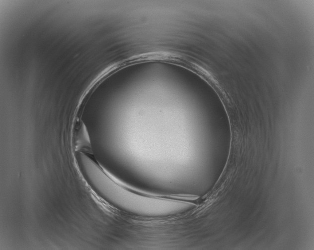 X0000081591426200702121502