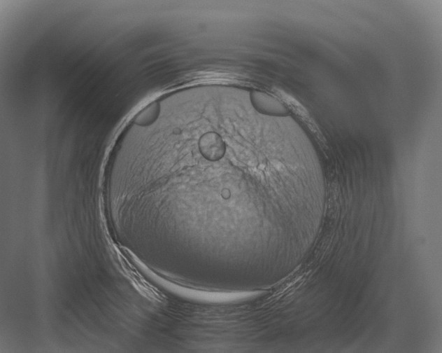 X0000081591427200702121502