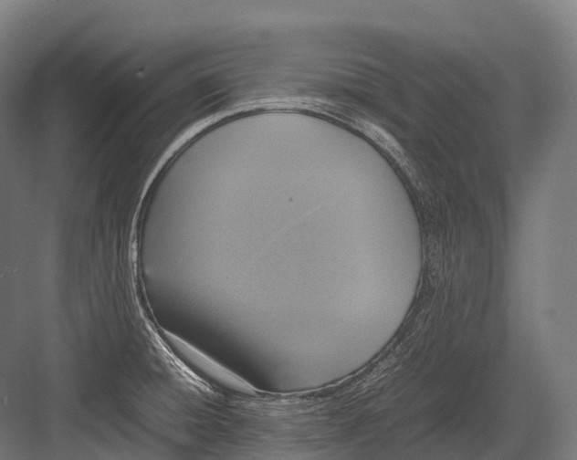 X0000081591428200702121502