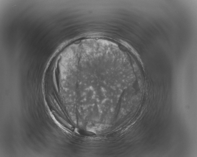 X0000081591429200702121502