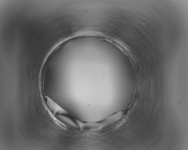 X0000081591430200702121502