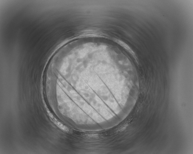 X0000081591431200702121502