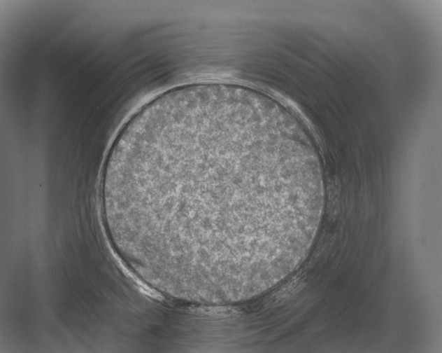 X0000081591432200702121502