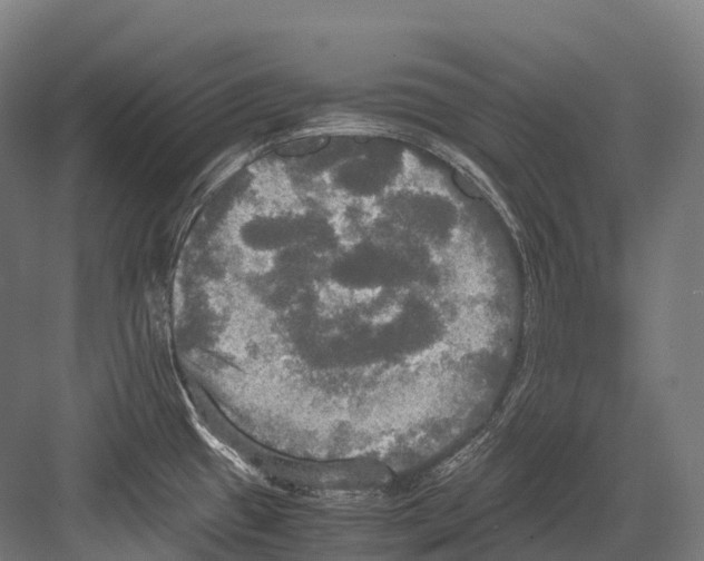 X0000081591433200702121502