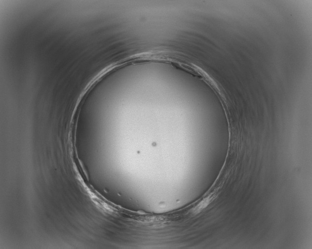 X0000081591434200702121502