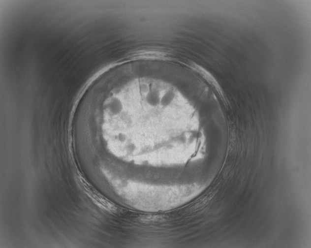 X0000081591435200702121502