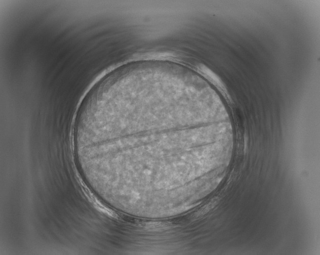 X0000081591436200702121502