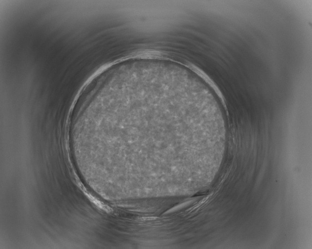 X0000081591437200702121502