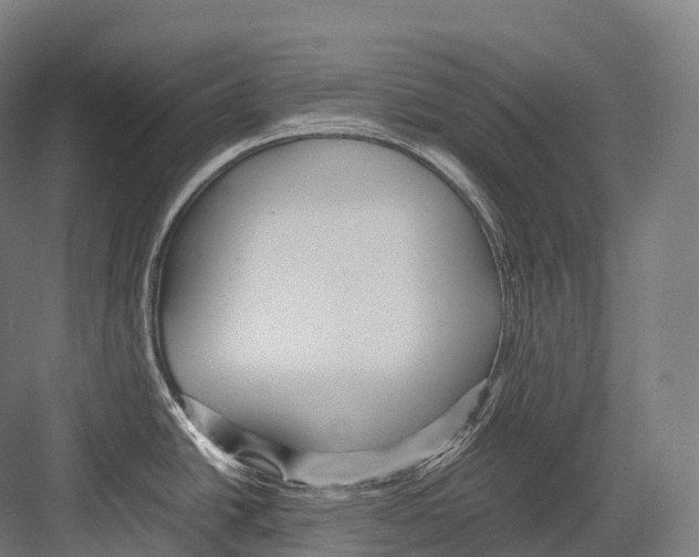 X0000081591438200702121502