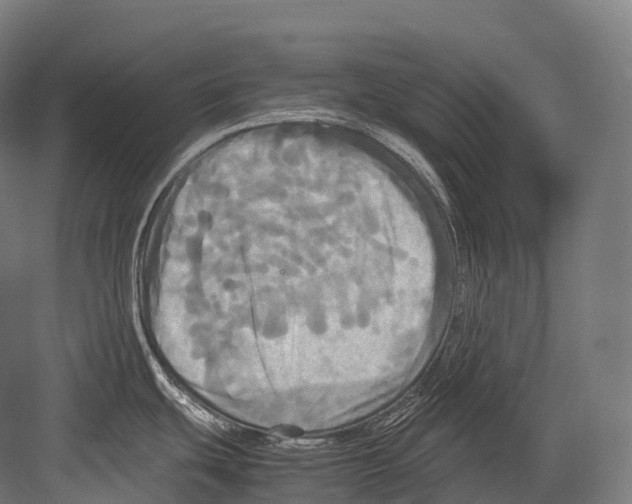 X0000081591439200702121502