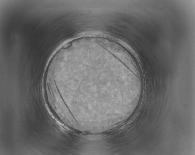 X0000081591440200702121502