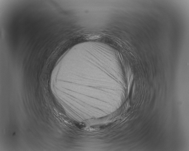 X0000081591441200702121501