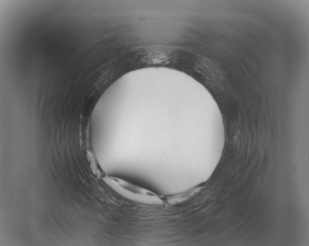 X0000081591442200702121501