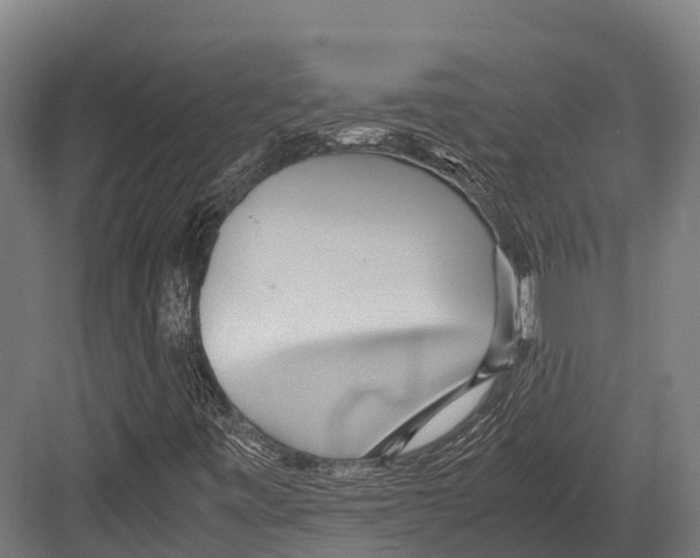 X0000081591443200702121501