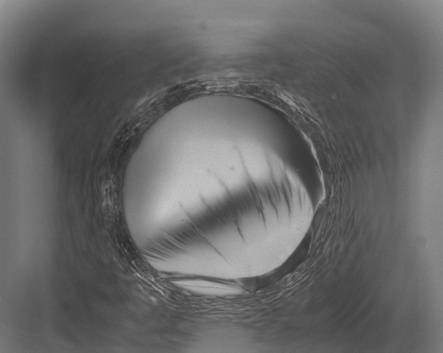 X0000081591445200702121501