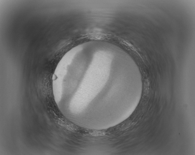 X0000081591446200702121501