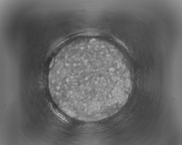 X0000081591448200702121501