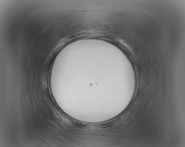 X0000081591451200702121501