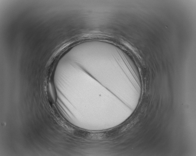 X0000081591453200702121501