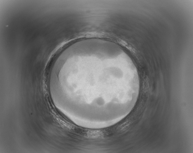 X0000081591454200702121501