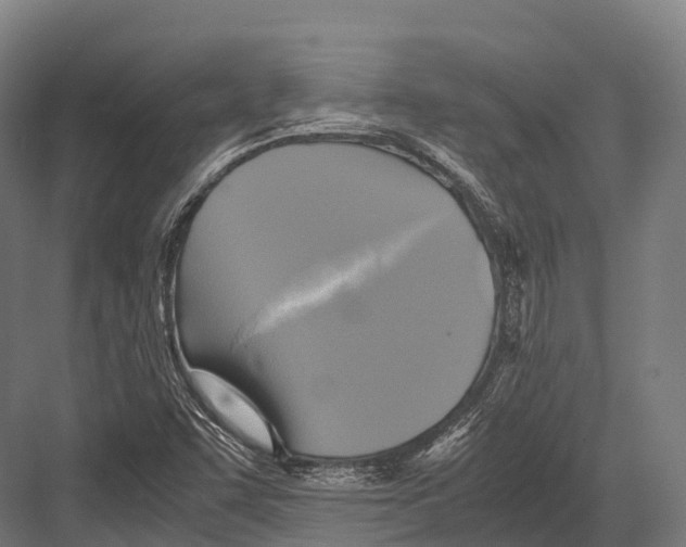 X0000081591455200702121501
