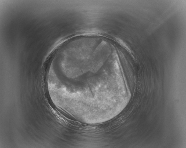 X0000081591456200702121501