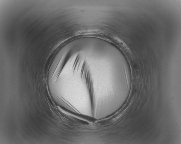 X0000081591457200702121501