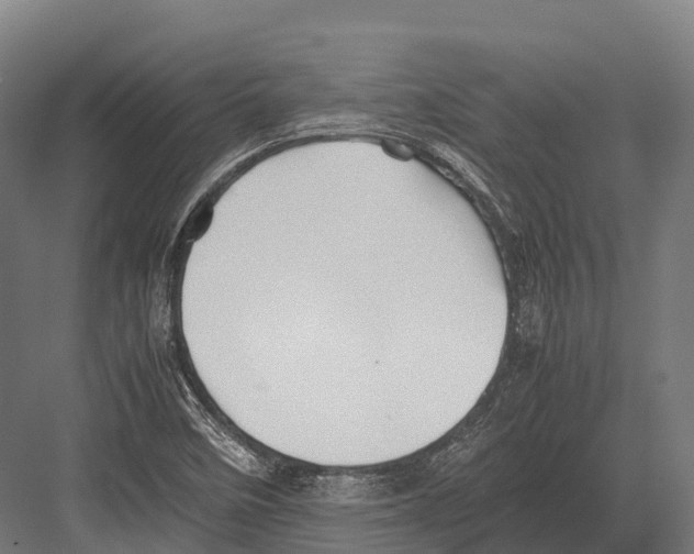 X0000081591458200702121501