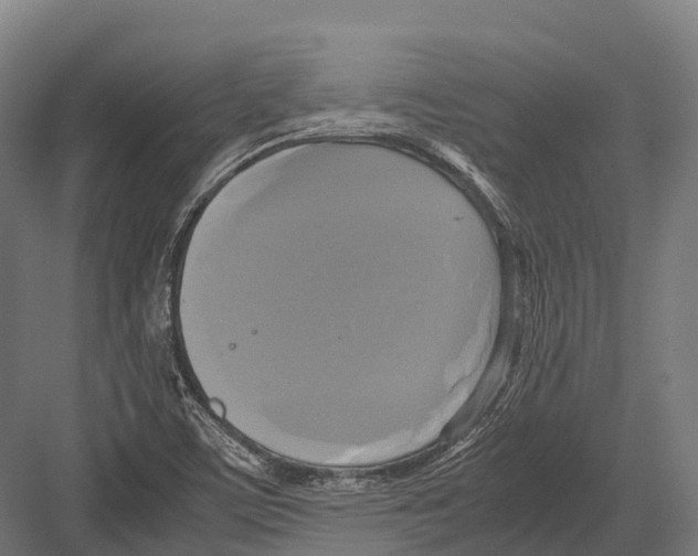 X0000081591459200702121501