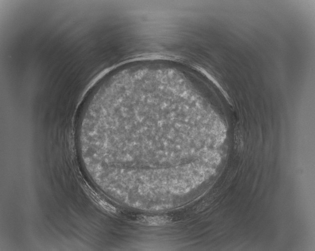 X0000081591460200702121501