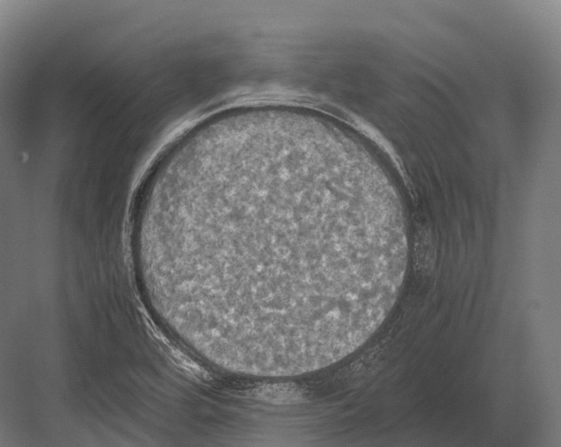 X0000081591464200702121501