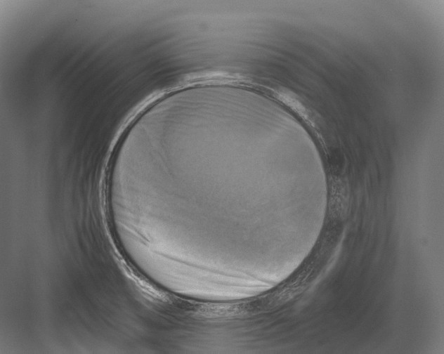 X0000081591474200702121501